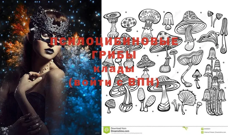 Галлюциногенные грибы MAGIC MUSHROOMS  Полтавская 